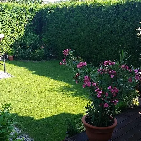 Apartman Fadora *